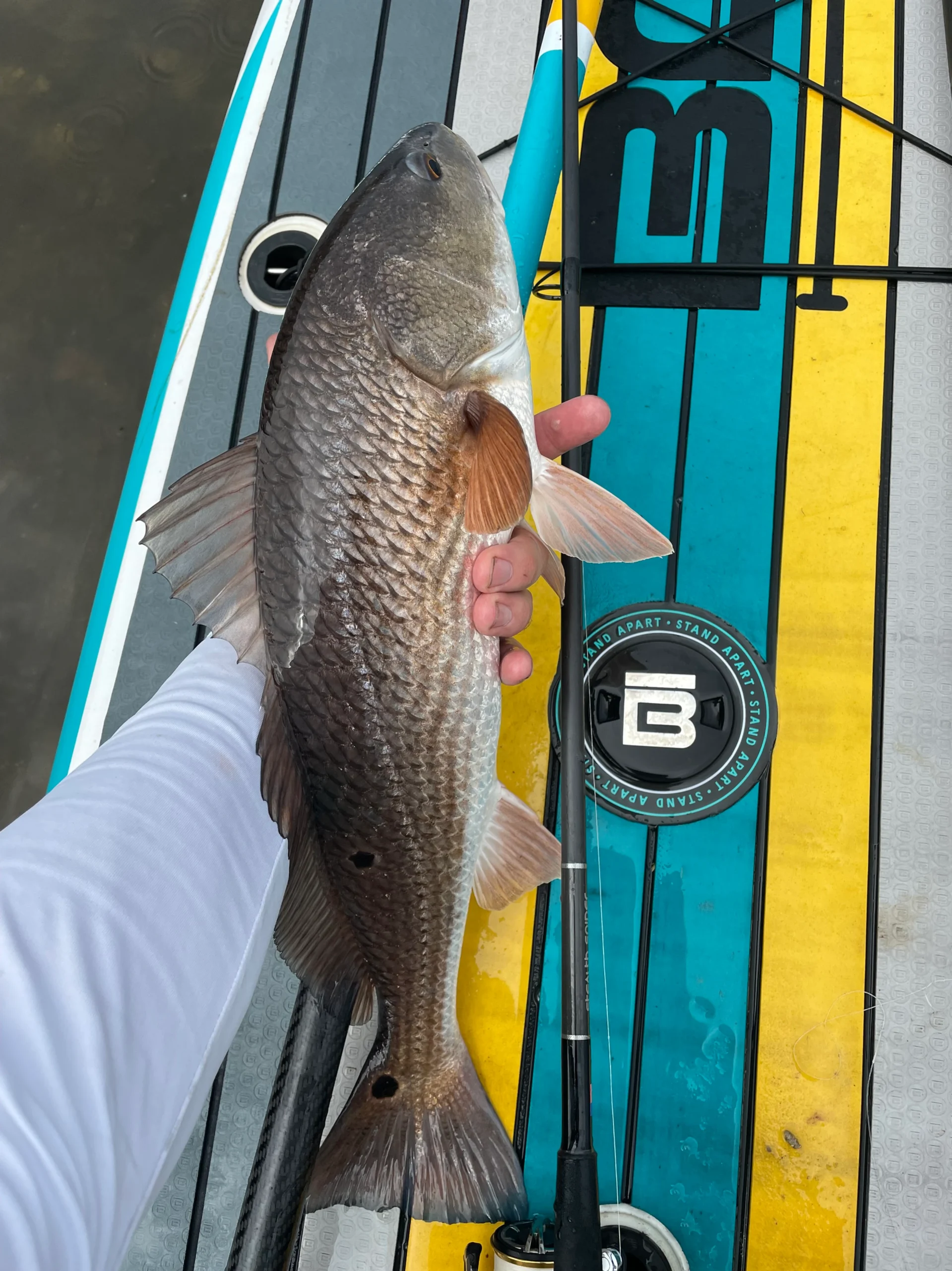 Fishing Report — December