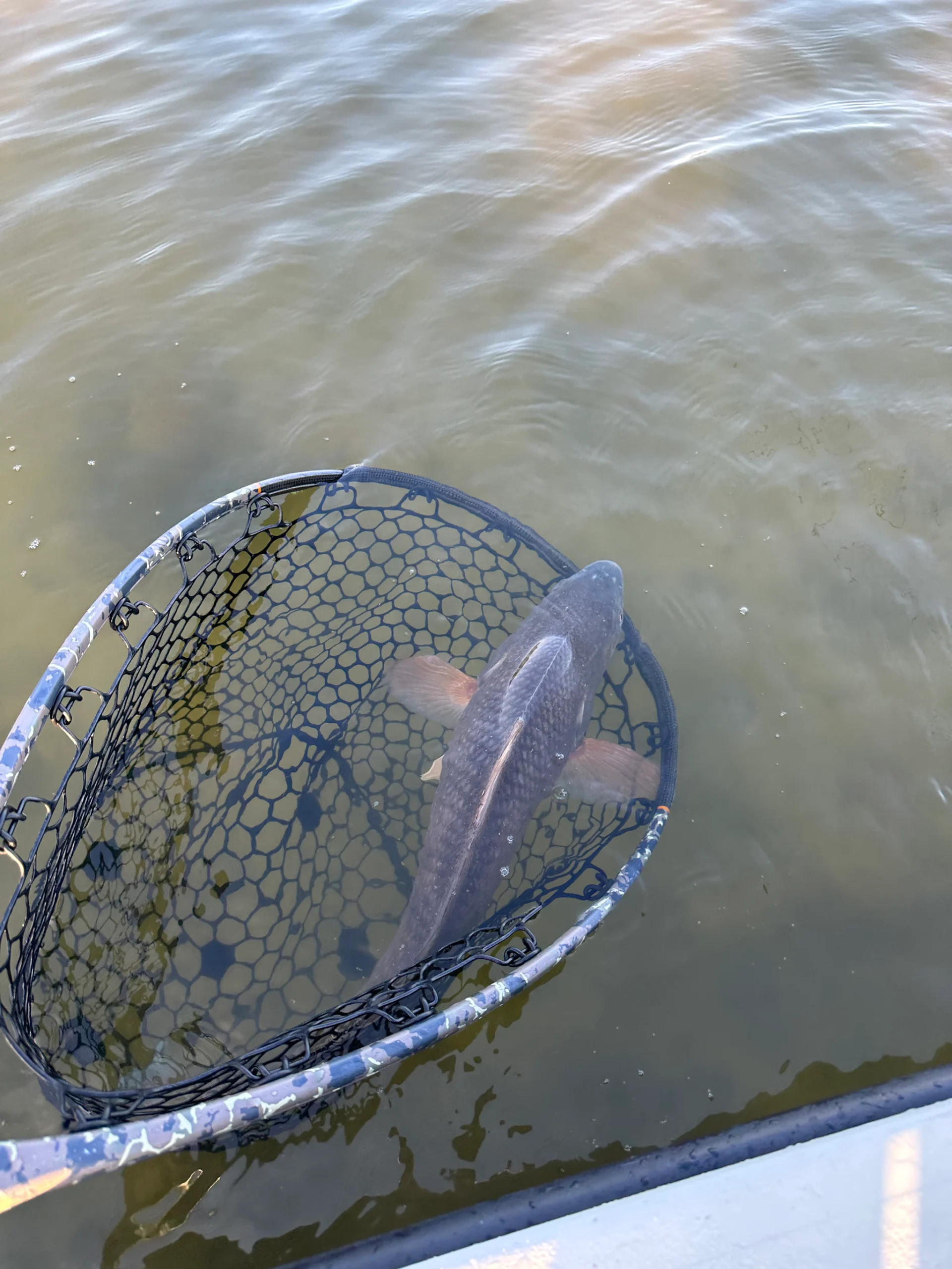 March Fishing Report