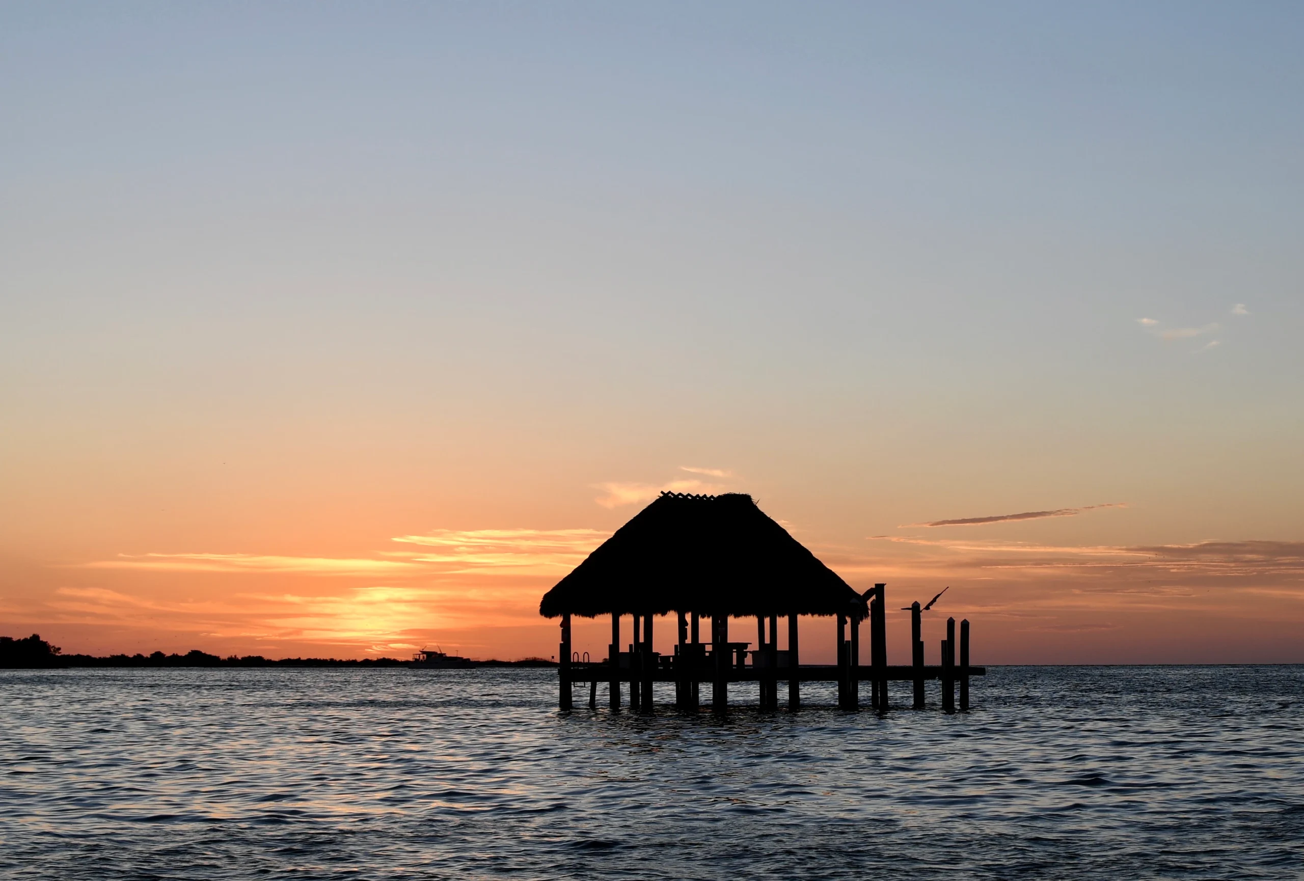 Fly Fishing the Sports Coast – Pasco County