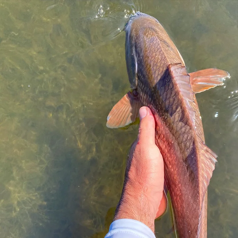 three quarter day guided fishing trips