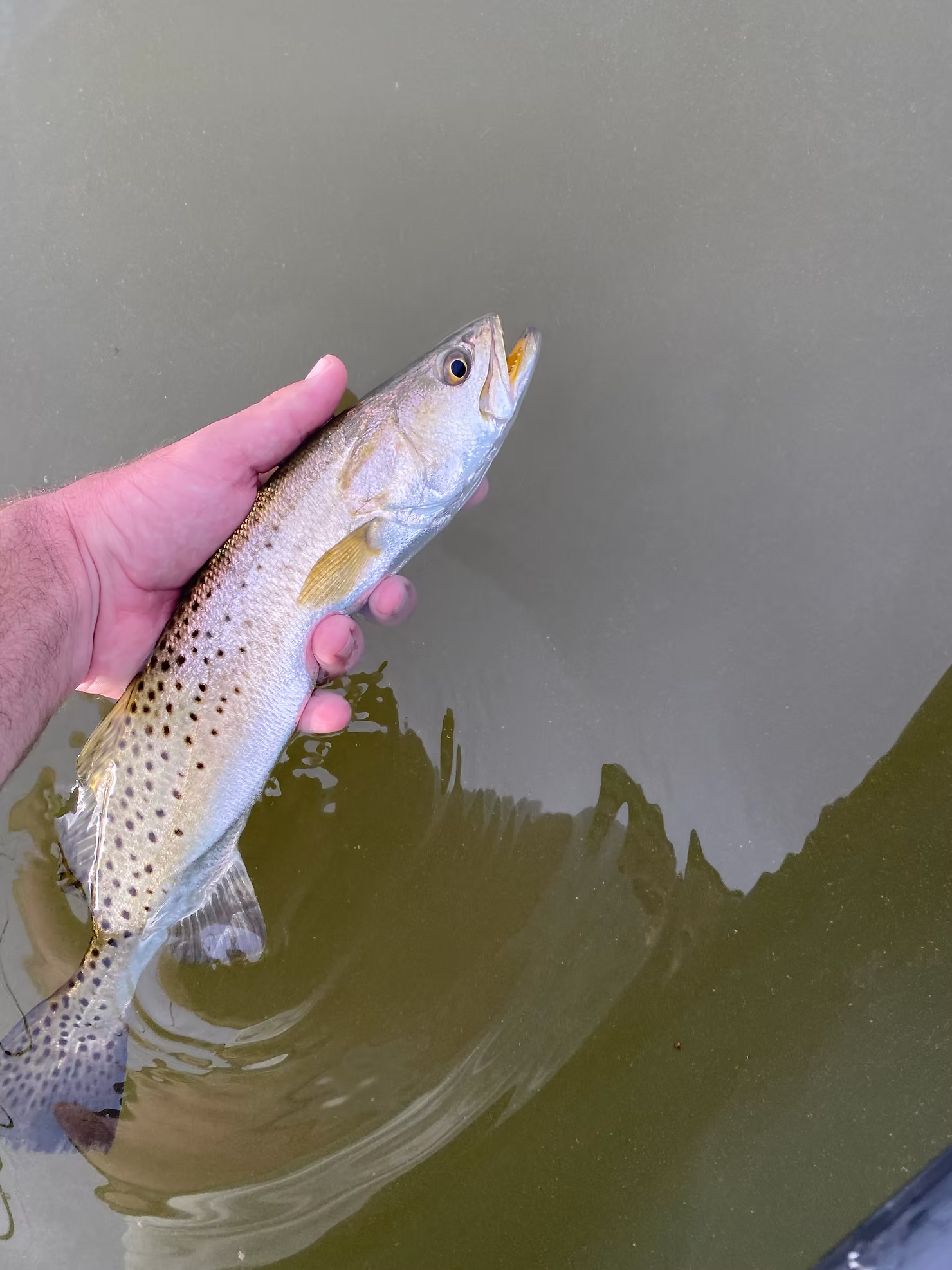 Fishing Report — January