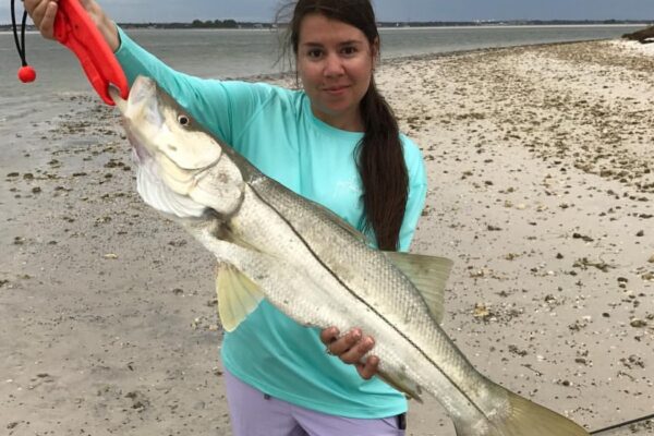 snook on the beach