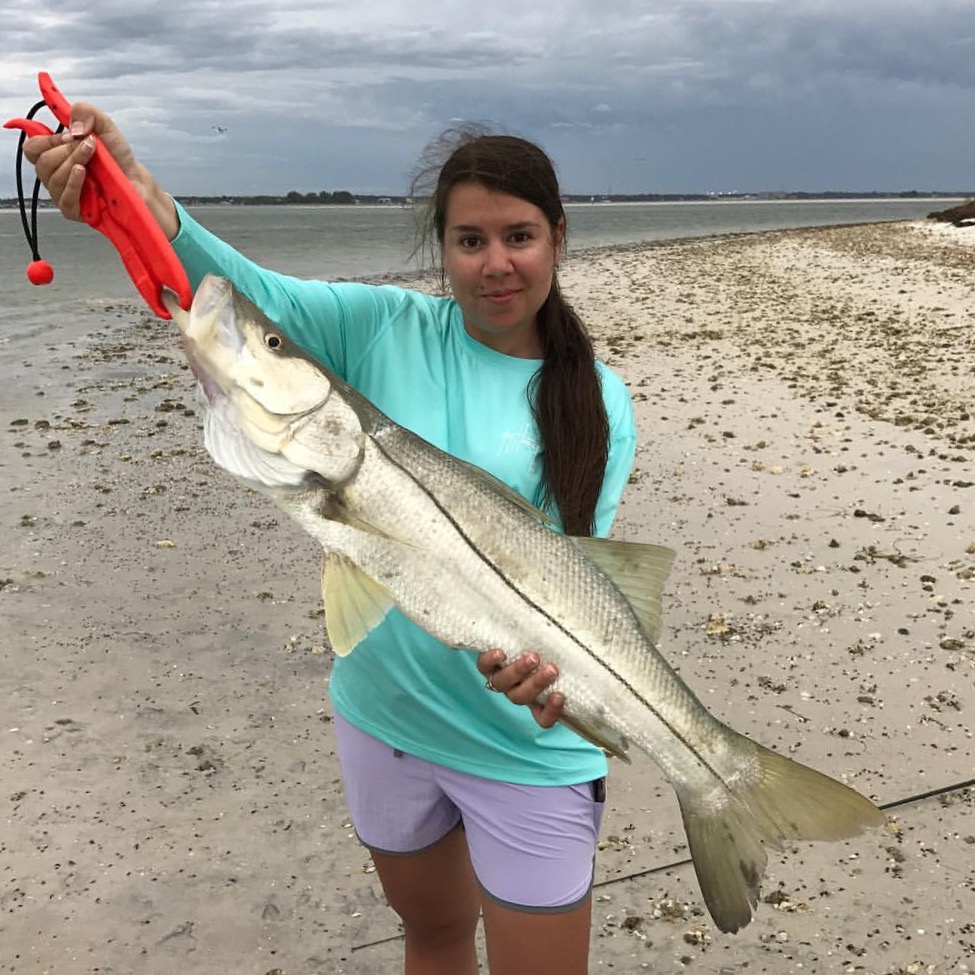 Sight Fishing Snook Along the Gulf Coast’s Beautiful Beaches