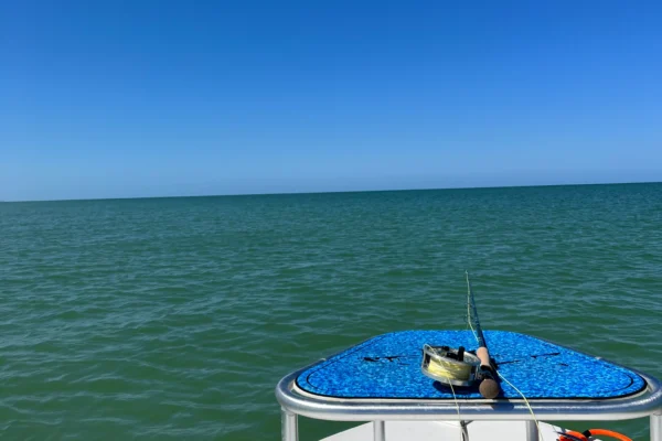 tarpon fishing report