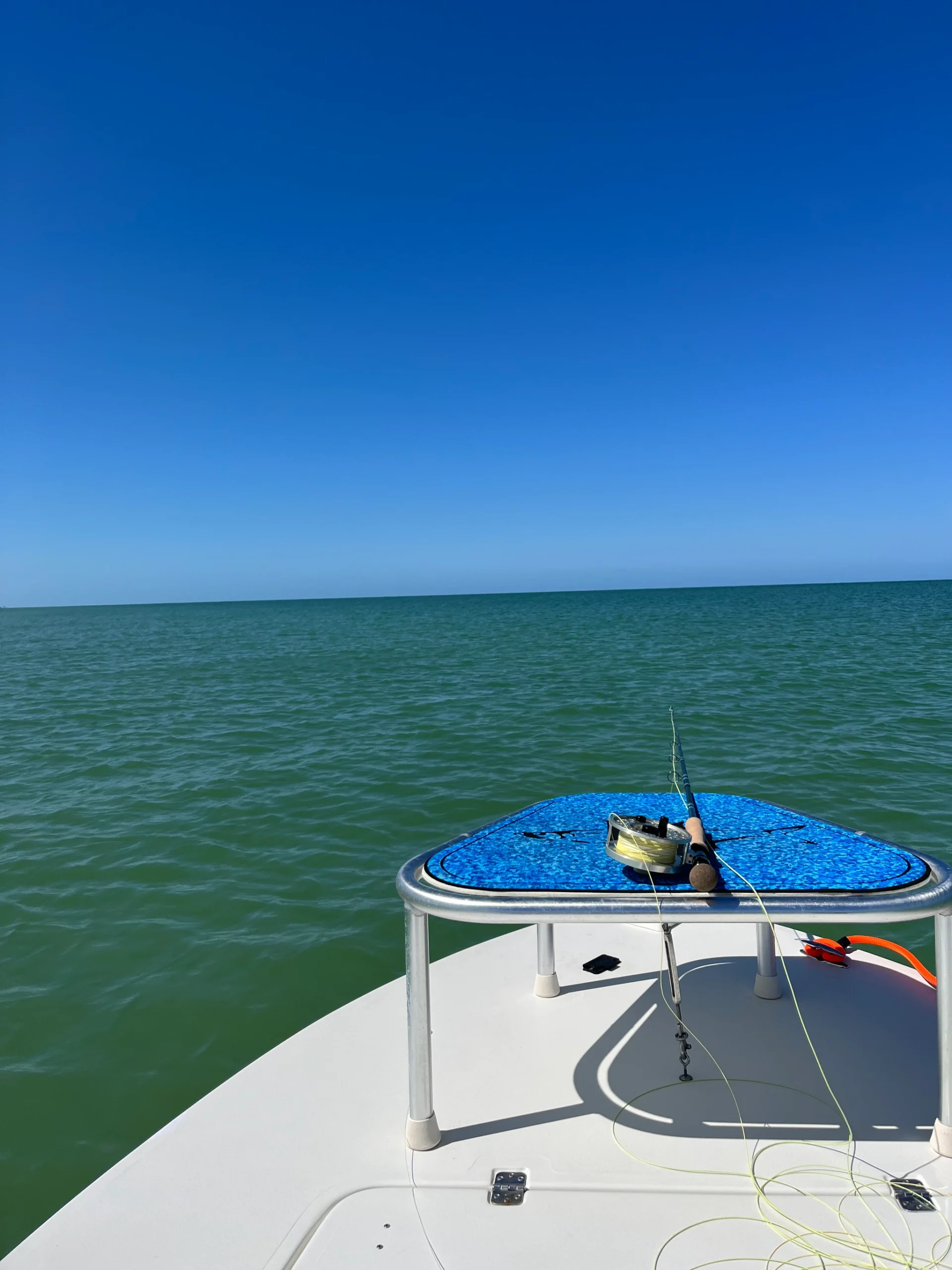 Tarpon Season Report (May, June, and mid July)