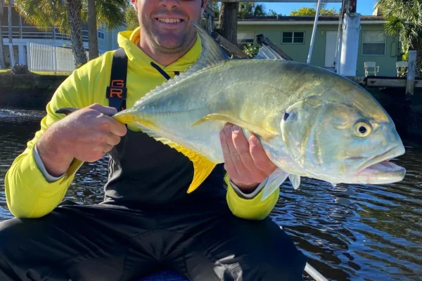 wintertime jack crevalle tampa bay